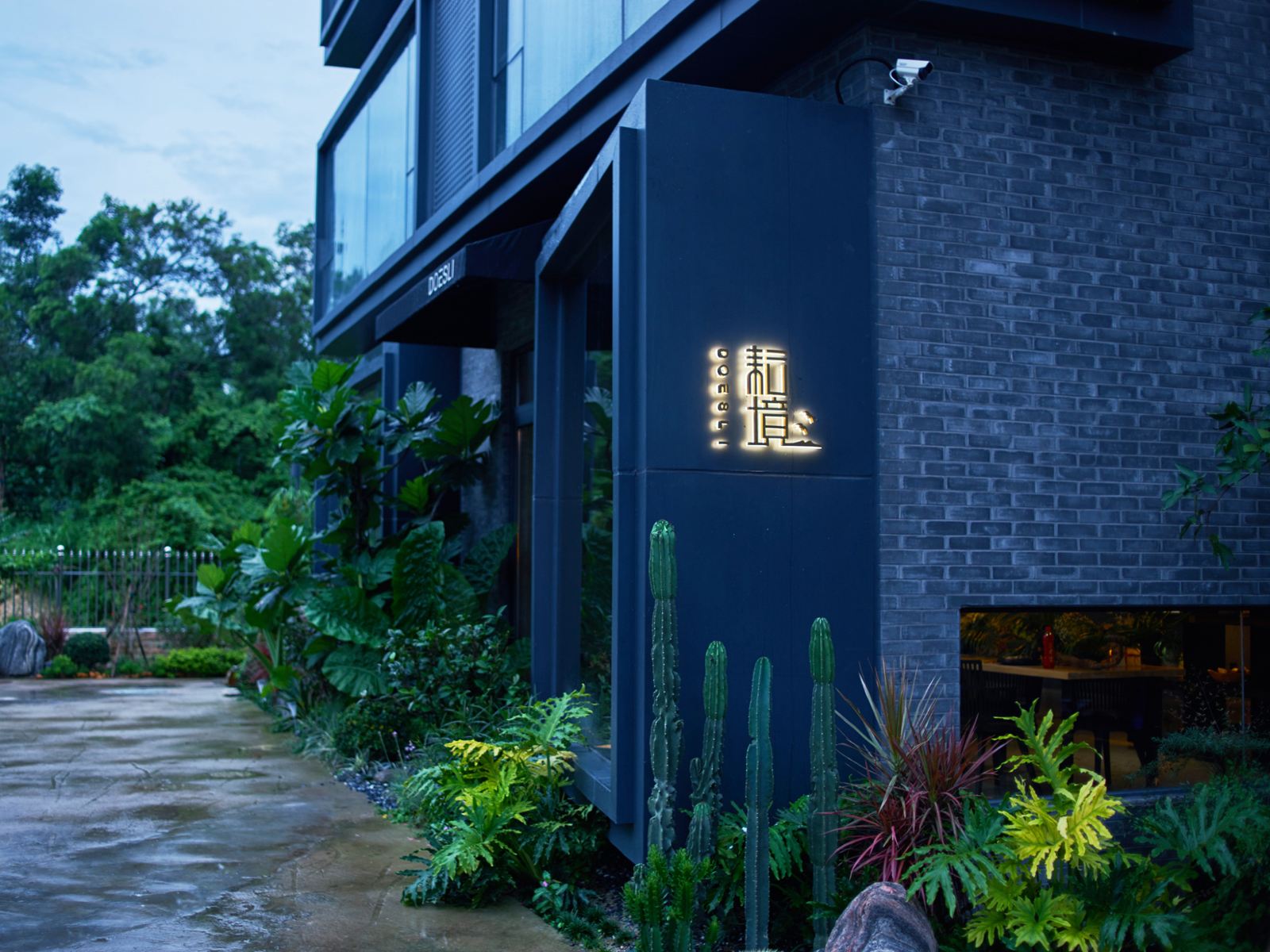外观