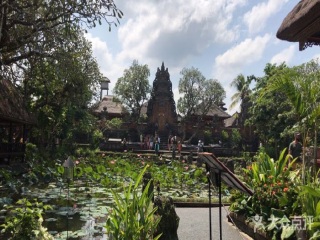 巴厘岛九日游多少钱_巴厘岛八日旅游团_去旅游巴厘岛