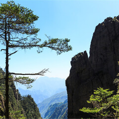 神农架 景点模块