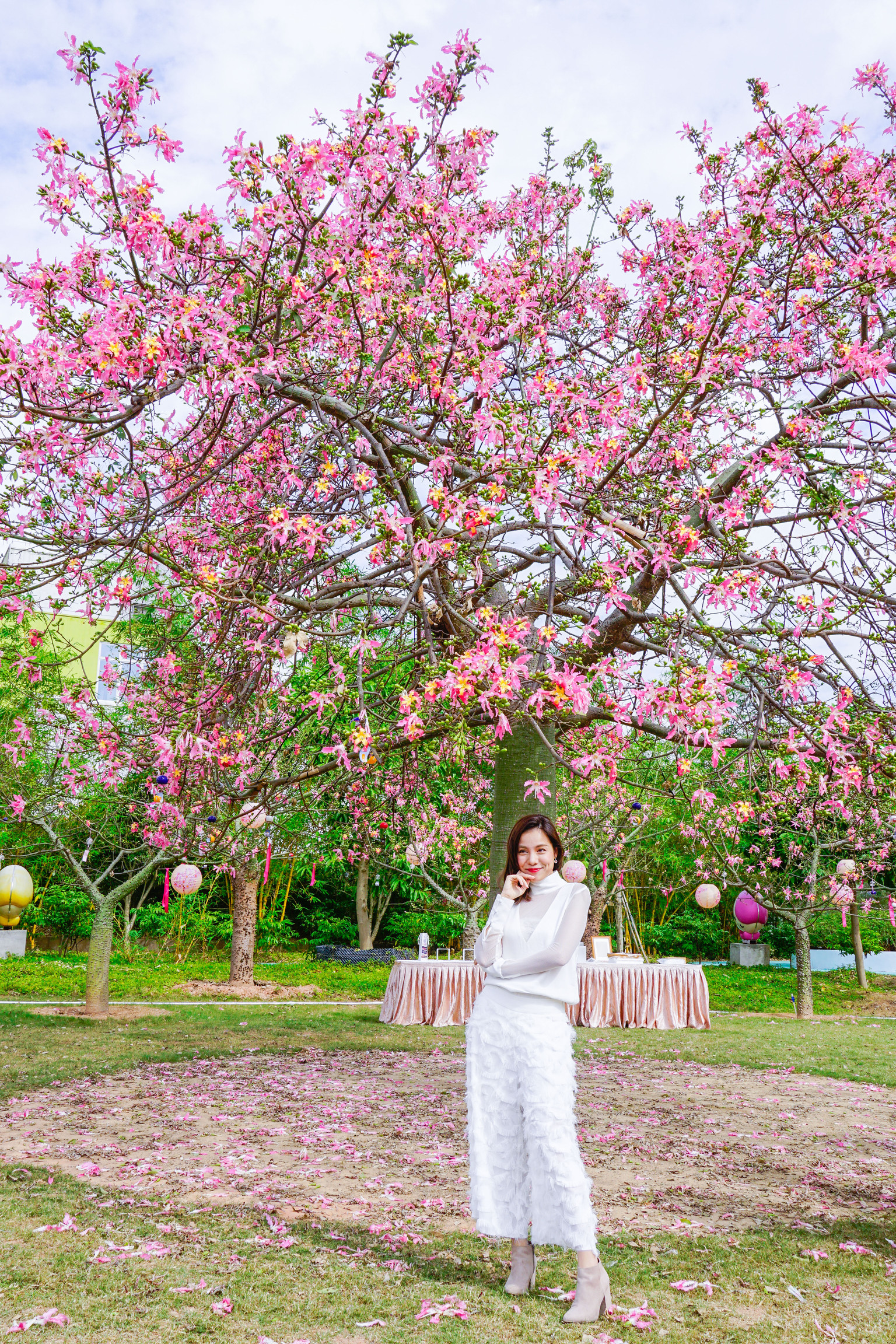 春の歌·秋樱节:赴一场盛大的浪漫花事!