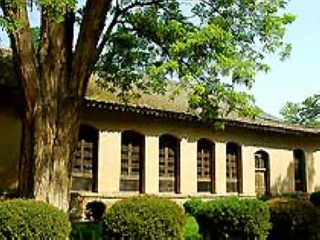 旅游去華山_2021去華山旅游團(tuán)報價_華山報團(tuán)多少錢