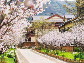 華東7日旅游團_出發(fā)華東旅游_華東五日游價格