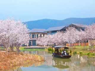 華東7日旅游團_出發(fā)華東旅游_華東五日游價格