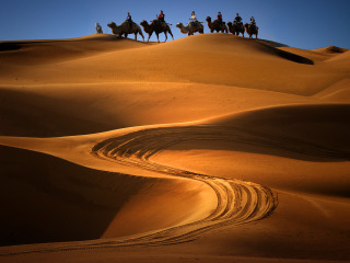 跟團寧夏旅游價格表_寧夏旅游團報價自由行_報團去寧夏多少錢