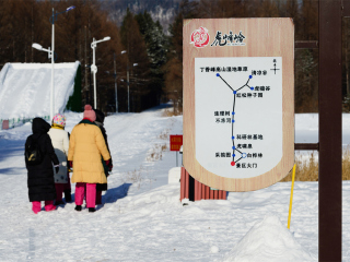 哈尔滨-亚布力旅游跟团去_跟团游哈尔滨-亚布力旅游_去哈尔滨-亚布力旅游网络
