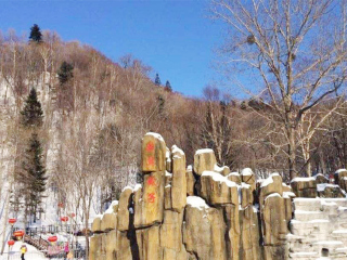 哈尔滨-亚布力旅游跟团去_跟团游哈尔滨-亚布力旅游_去哈尔滨-亚布力旅游网络