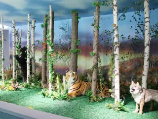 跟团长白山10日游多少钱_去长白山7天游_从东莞到长白山旅游