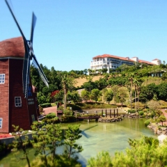 活动模块 