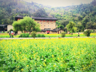 去廈門靠譜的旅行團(tuán)_廈門旅游最佳路線_廈門旅游花費(fèi)一般多少