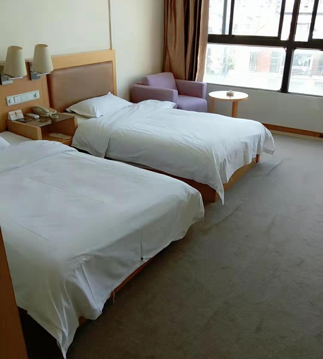 经济双床房