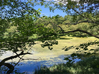 東北長(zhǎng)白山旅游花多少錢_東北長(zhǎng)白山旅游價(jià)格多少_東北長(zhǎng)白山旅游一次多少錢