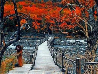 東北長(zhǎng)白山旅游花多少錢_東北長(zhǎng)白山旅游價(jià)格多少_東北長(zhǎng)白山旅游一次多少錢