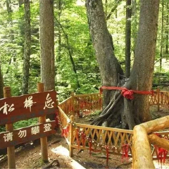 景点模块 