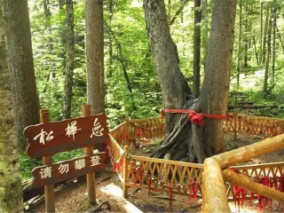 東北長(zhǎng)白山旅游花多少錢_東北長(zhǎng)白山旅游價(jià)格多少_東北長(zhǎng)白山旅游一次多少錢