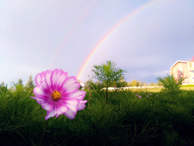 <呼伦贝尔大草原-额尔古纳-列夫庄园-满洲里