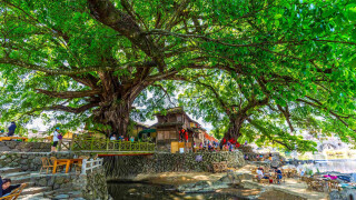 廈門至惠安旅游景點 廈門到惠安有多少公里