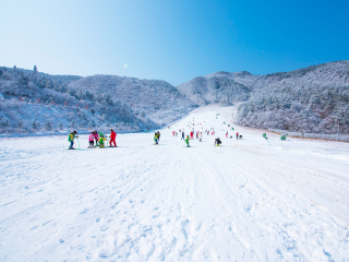 暑假東北亞布力滑雪游價格_東北亞布力滑雪最佳旅游路線_東北亞布力滑雪旅游費用