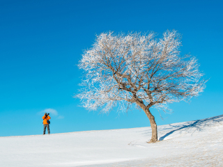 暑假東北亞布力滑雪游價格_東北亞布力滑雪最佳旅游路線_東北亞布力滑雪旅游費用