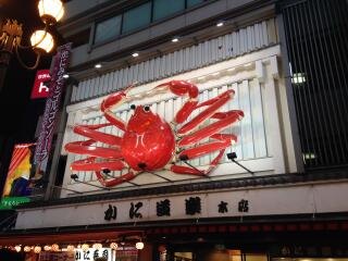 日本6天游_旅游日本跟团_组团日本旅游