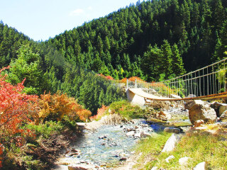 甘肅蘭州游 旅行團(tuán)_甘肅蘭州旅行團(tuán)旅游報(bào)價(jià)_現(xiàn)在去甘肅蘭州旅游多少錢