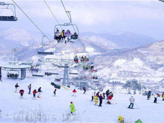 旅行去哈尔滨_六月至哈尔滨旅游_旅游哈尔滨团