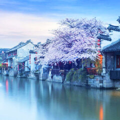 景点模块 
