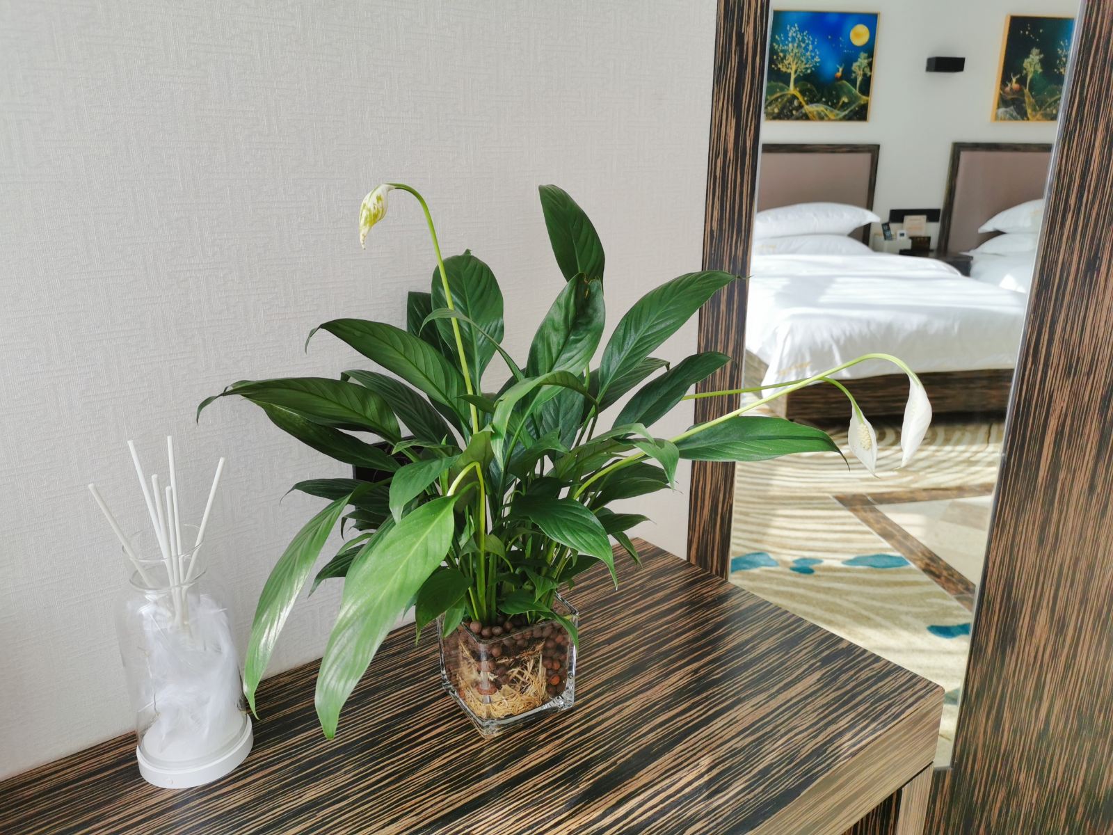 高级豪华标间