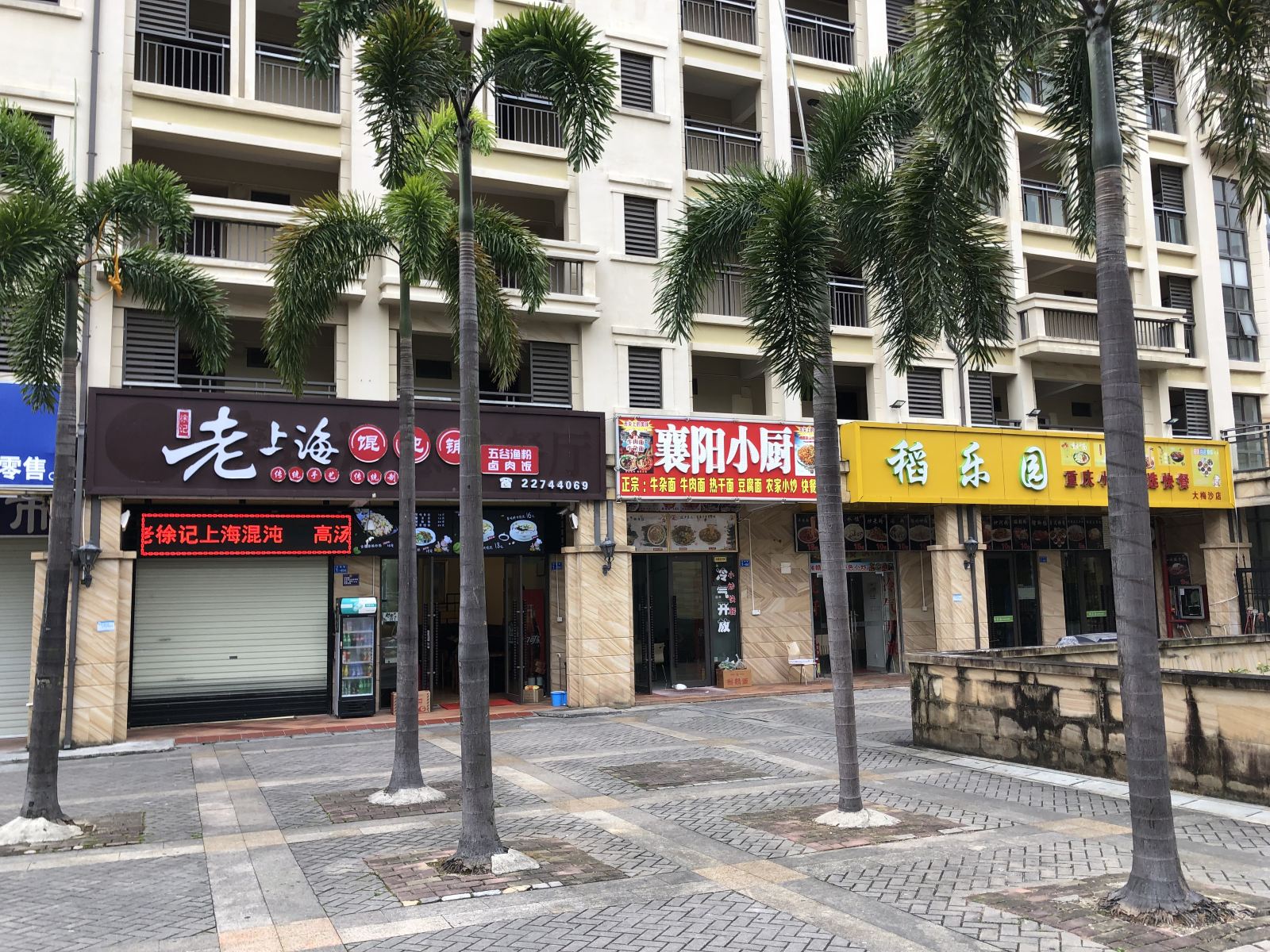 外观