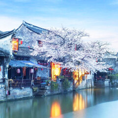 景点模块 