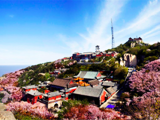 青島游 旅行團(tuán)_青島跟團(tuán)游與自由行_青島游跟團(tuán)多少錢