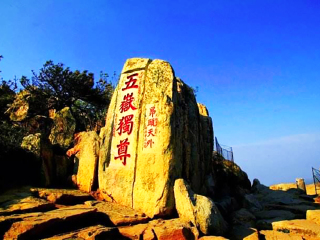 青島游 旅行團(tuán)_青島跟團(tuán)游與自由行_青島游跟團(tuán)多少錢