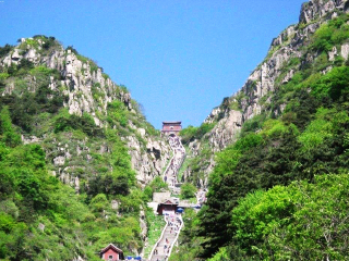 青島游 旅行團(tuán)_青島跟團(tuán)游與自由行_青島游跟團(tuán)多少錢