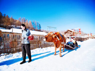 組團(tuán)去東北長(zhǎng)白山_東北長(zhǎng)白山游8月份報(bào)價(jià)_東北長(zhǎng)白山旅游團(tuán)報(bào)價(jià)2021