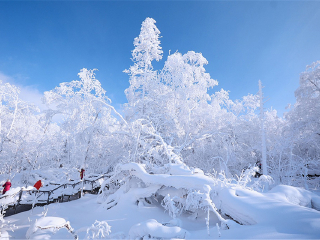 旅行去哈尔滨_六月至哈尔滨旅游_旅游哈尔滨团