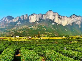 去恩施大峡谷-神农架-大九湖-武当山旅游包团_恩施大峡谷-神农架-大九湖-武当山国际旅行_深圳出发游恩施大峡谷-神农架-大九湖-武当山