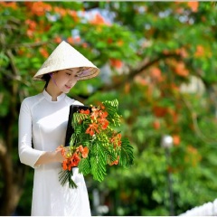 活动模块 