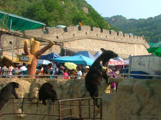 北京故宮旅游多少錢一個人_北京故宮游 旅行團(tuán)