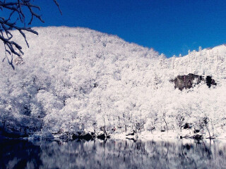 特價吉林長白山游_到吉林長白山旅游_2021去吉林長白山跟團(tuán)多少錢