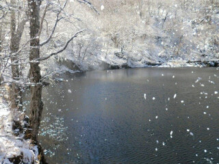 特價吉林長白山游_到吉林長白山旅游_2021去吉林長白山跟團(tuán)多少錢