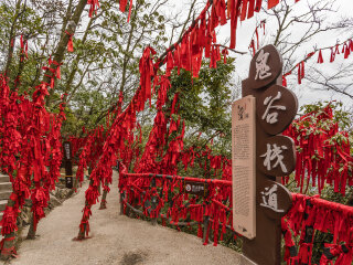 张家界国际旅行_去张家界6天游_张家界旅游高端