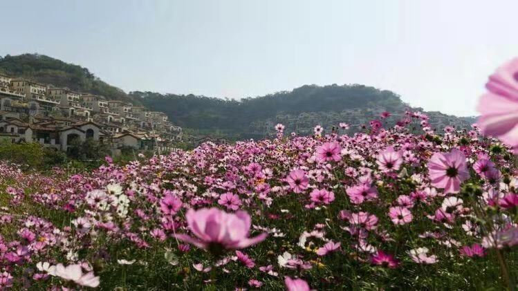 怡然居公寓大床房
