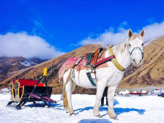 去趟哈尔滨-亚布力旅游多少钱_哈尔滨-亚布力跟团6日游_哈尔滨-亚布力旅游跟团旅游