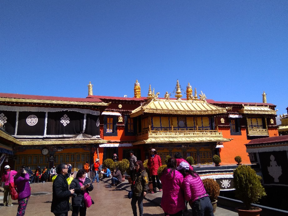 求解答:4月初去西藏拉萨,纳木错,林芝等旅游,穿