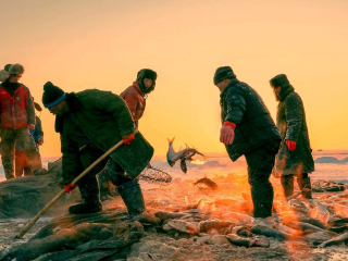 哈尔滨旅游纯玩团_旅游网哈尔滨_年初哈尔滨旅游
