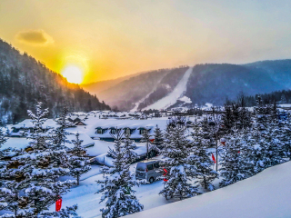 哈尔滨旅游纯玩团_旅游网哈尔滨_年初哈尔滨旅游