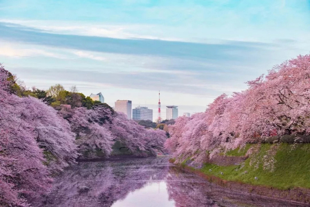 [春节]<日本东京-大阪-京都-富士山7日游>西安直飞，清水寺和坂道街，心斋桥和道顿崛，温泉料理，日式烤肉等，东京或大阪自由活动时间