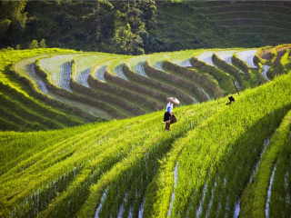 桂林旅游要多少錢跟團_桂林游跟團_桂林旅游一次多少錢