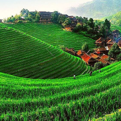 景点模块 