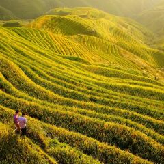景点模块 