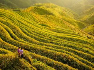 到桂林陽(yáng)朔旅游報(bào)團(tuán)價(jià)格_桂林陽(yáng)朔旅游要多少錢跟團(tuán)_桂林陽(yáng)朔旅游跟團(tuán)需多少錢